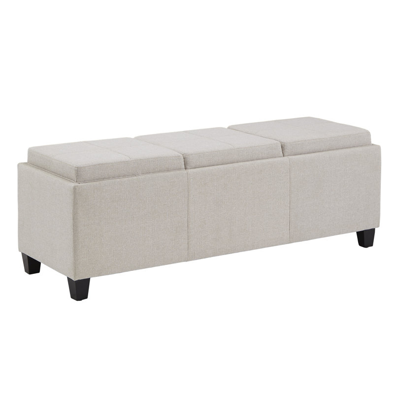 Banc de rangement à couvercle rabattable Alyani