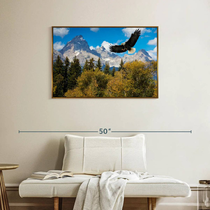 Grand Teton Eagle, Cadre flottant doré, 37 po x 25 po
