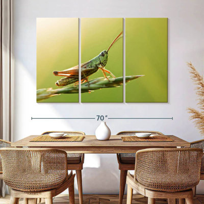 Green Grasshopper