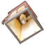 Rustic Lodge 2 - Light Armed Sconce