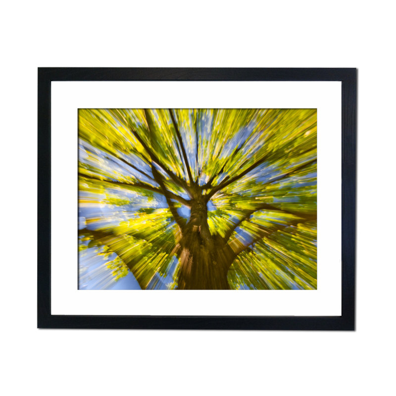 Single Picture Frame Print