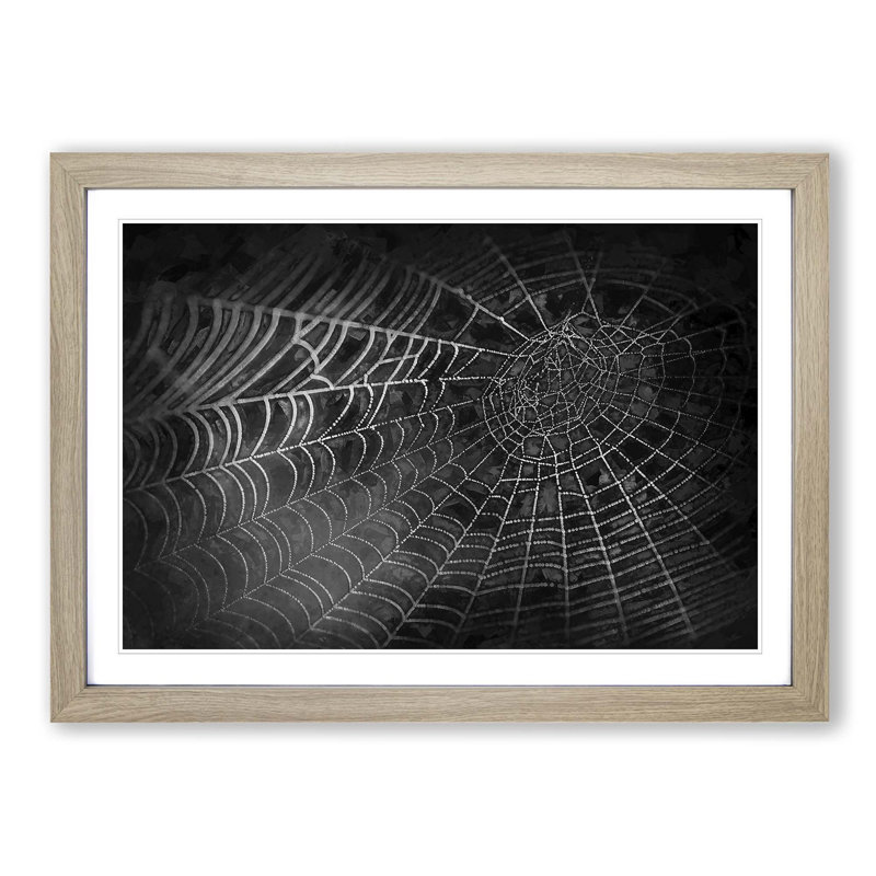 Spiders Cobweb in Abstract - Picture Frame Graphic Art Print, Oak Framed, 62cm H x 87cm W x 2cm D