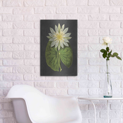 " Lily " by Lettered & Lined