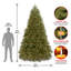 Sapin Jersey Fraser de taille moyenne avec lumières à DEL bicolores-2129803268