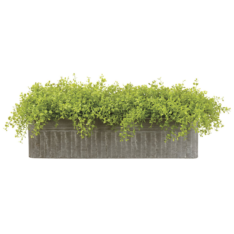 Pot à fleurs 8 po H 8 po x l 15 po x L 26 po