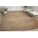 Oriental Indoor Rug