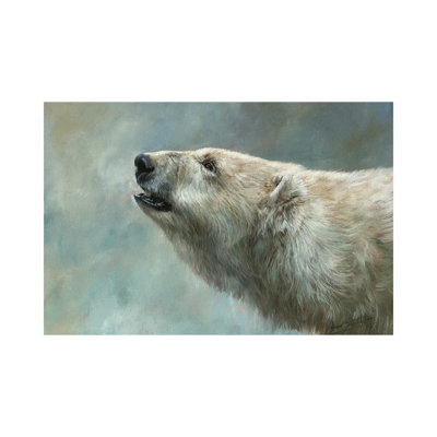 Polar Bear Study by David Stribbling - Wrapped Canvas Painting