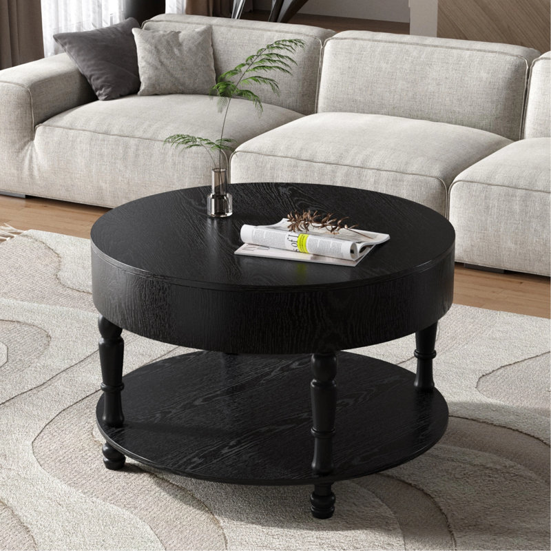 Table basse avec compartiment caché, table basse ronde avec tablette de rangement pour le salon, Noir