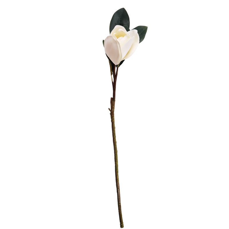 Tige de magnolia