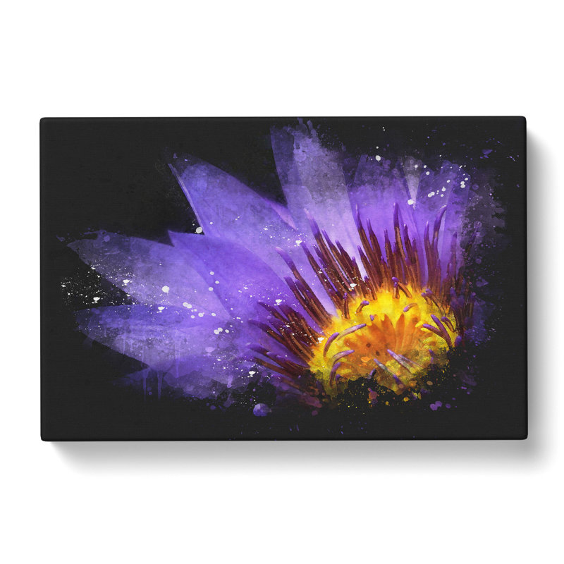 Purple Water Lily - Wrapped Canvas Painting, 35cm H x 50cm W x 3cm D