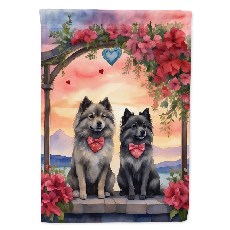 Double Sided 40'' H x 28'' W Polyester Valentine's Day House Flag