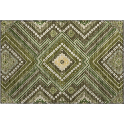 Premium Machine Washable Colmenero AMF1010 Tribal Rug
