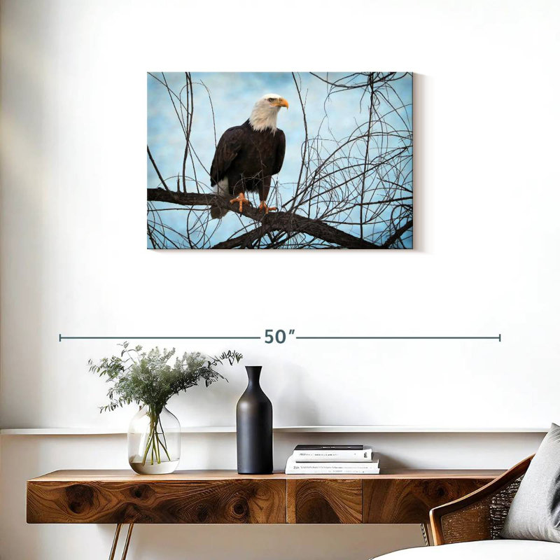Portrait d'un aigle à tête blanche Brampt