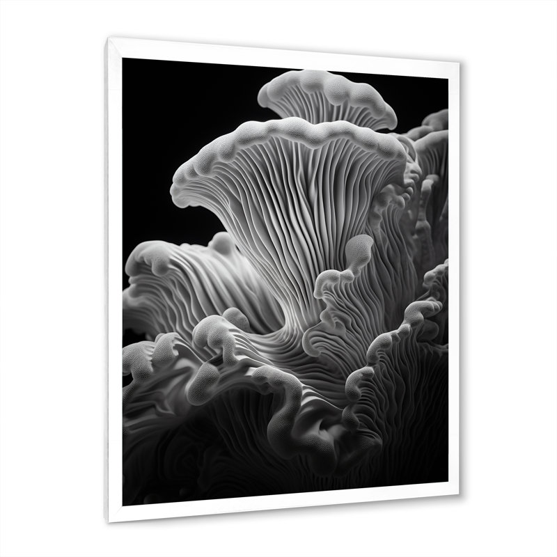 Noir et blanc, corail, anémone Royaume II - plage et océan, art mural sur toile, Cadre simple blanc
