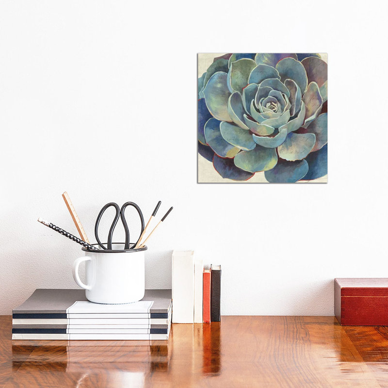 Succulence I by Aimee Wilson - Wrapped Canvas Painting, 30.48 cm H x 30.48 cm W