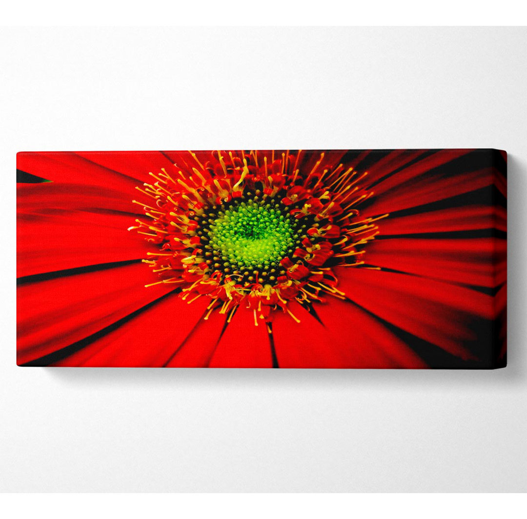 Red Gerbera Centre - Leinwanddrucke auf Leinwand