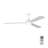 Ceiling Fan with LED Lights-220343686-211481074