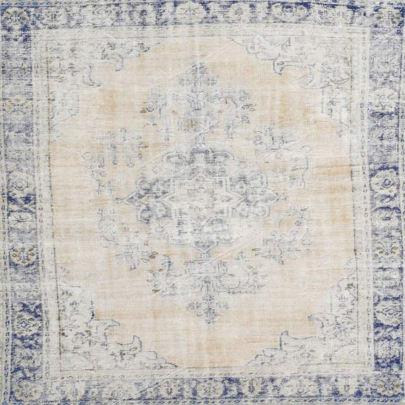 Alek Oriental Indoor Rug, Square 6'