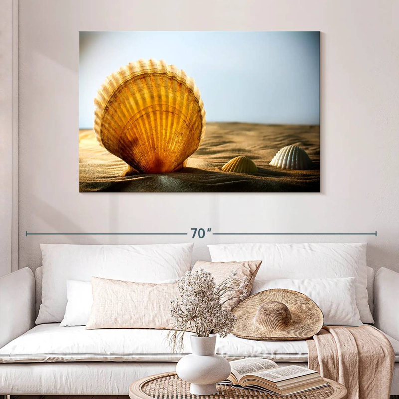 Coquillages de sable Aletra, H 32 po x l 48 po