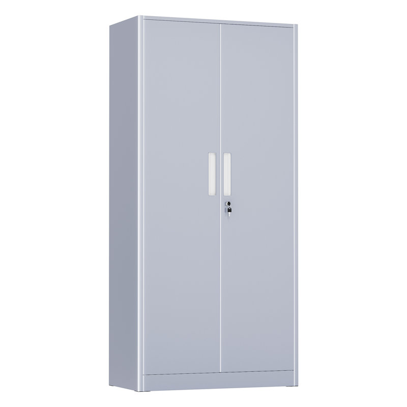 Armoire de rangement simple en acier avec serrure (H 72 po x l 32 po x P 16 po), Gris foncé