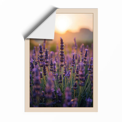 Lavender at Dawn Botanical - Framed Print
