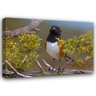 Art sur toile tendue Art Gallery: Fitzharris, Tim