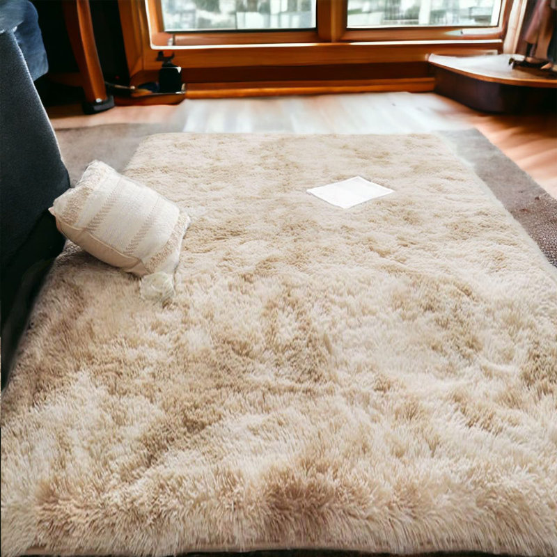 Tapis 5 x 7 pi