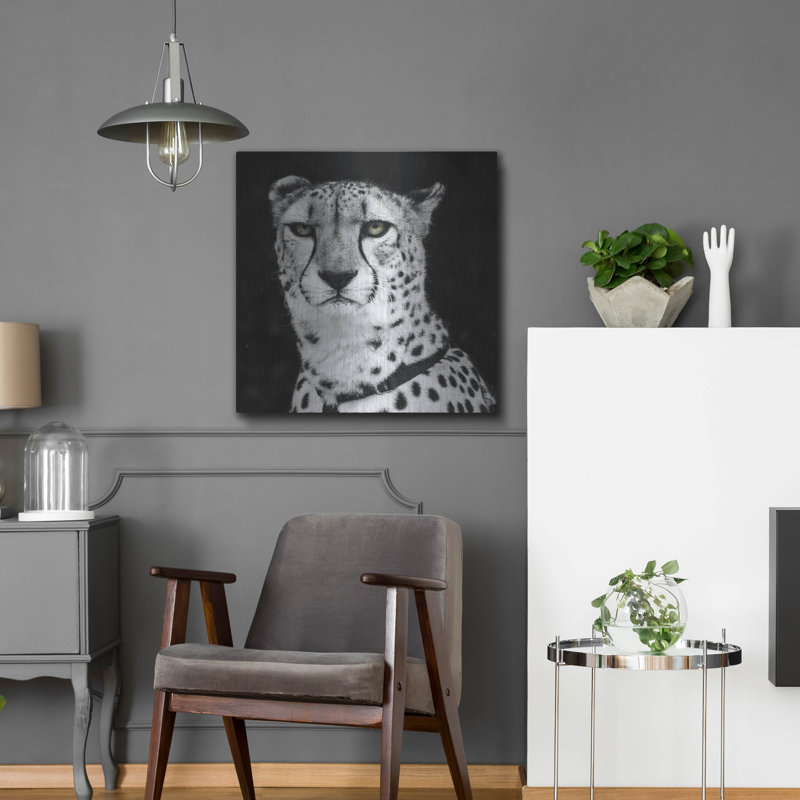 «Cheetah» par Decent Exposures, art mural en métal, H 24 po x l 24 po
