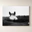 Flirt par Aledanda - Impression sur toile-1189347394-1189347451