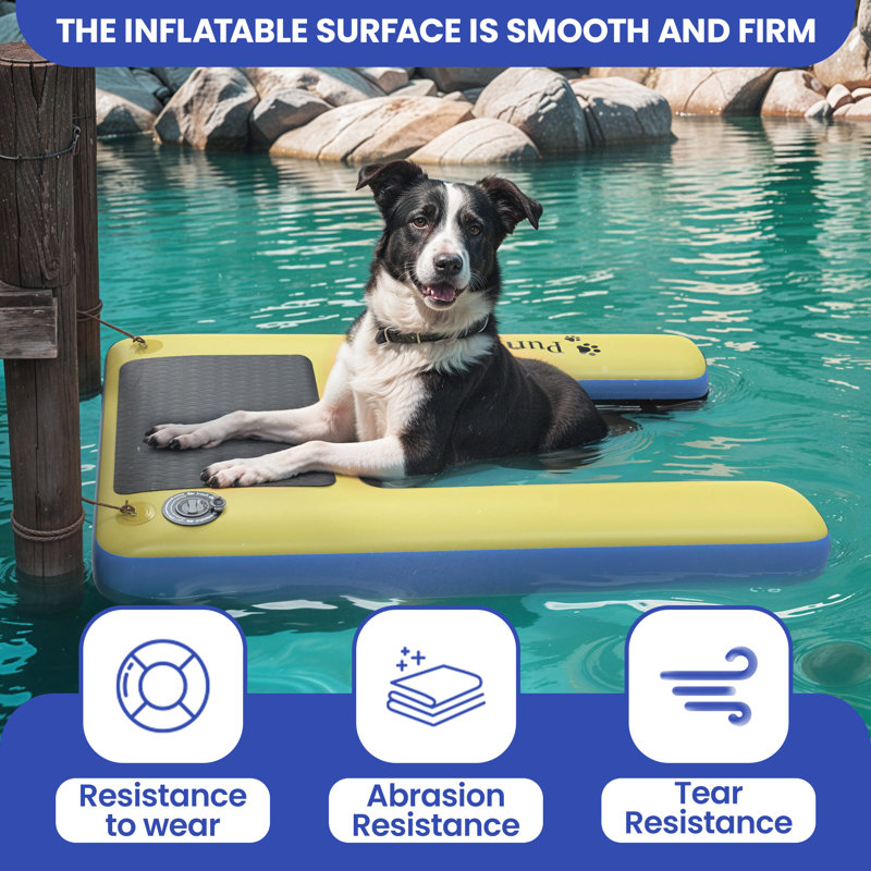 Rampe flottante pour chien 
