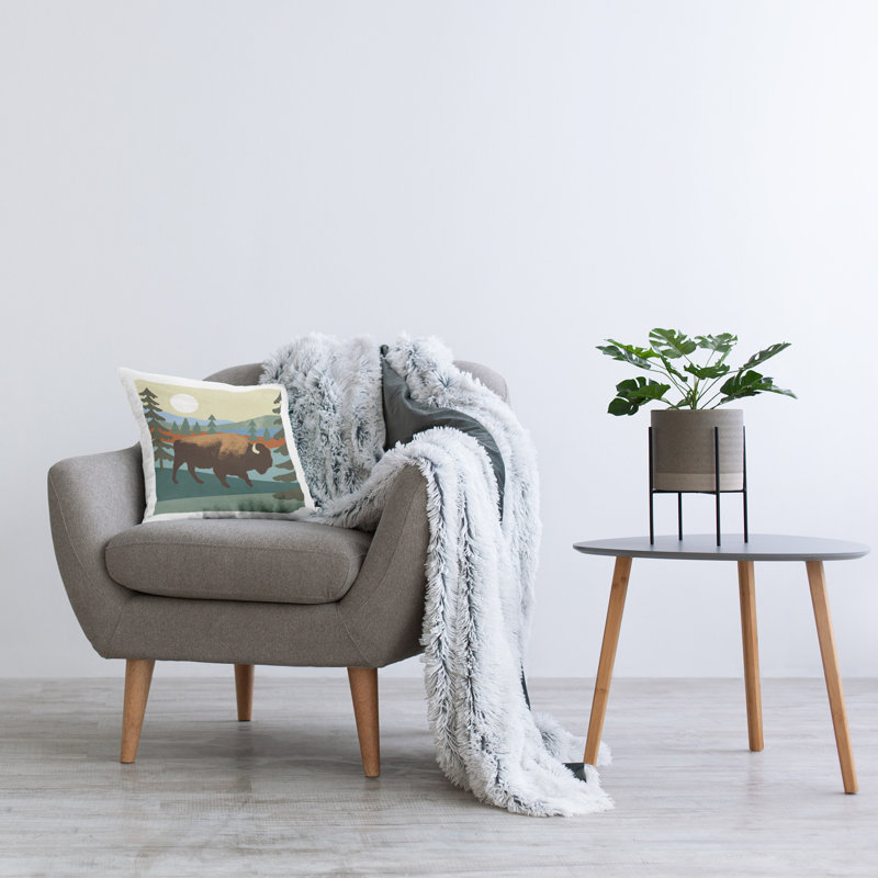 No Decorative Addition Throw Pillow