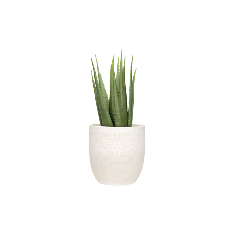 Coastal Embossed Textured Stoneware Planter, White