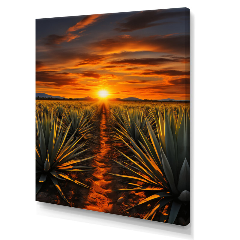 «Arabella Orange Green», art mexicain, tequila lever de soleil sur toile, H 32 po x l 24 po x P 1 po, Toile tendue