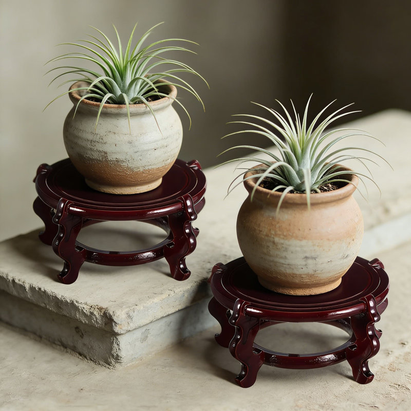 Ensemble de 2 supports à plantes fabriqués à la main en bois de séquoia, présentoir de style oriental chinois pour vases, bocaux, pots à fleurs et lampes