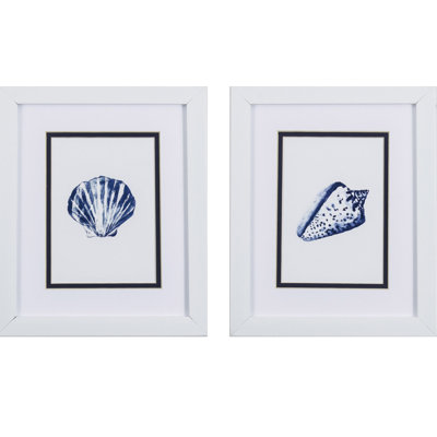 " CLAM SHELL S/2 "