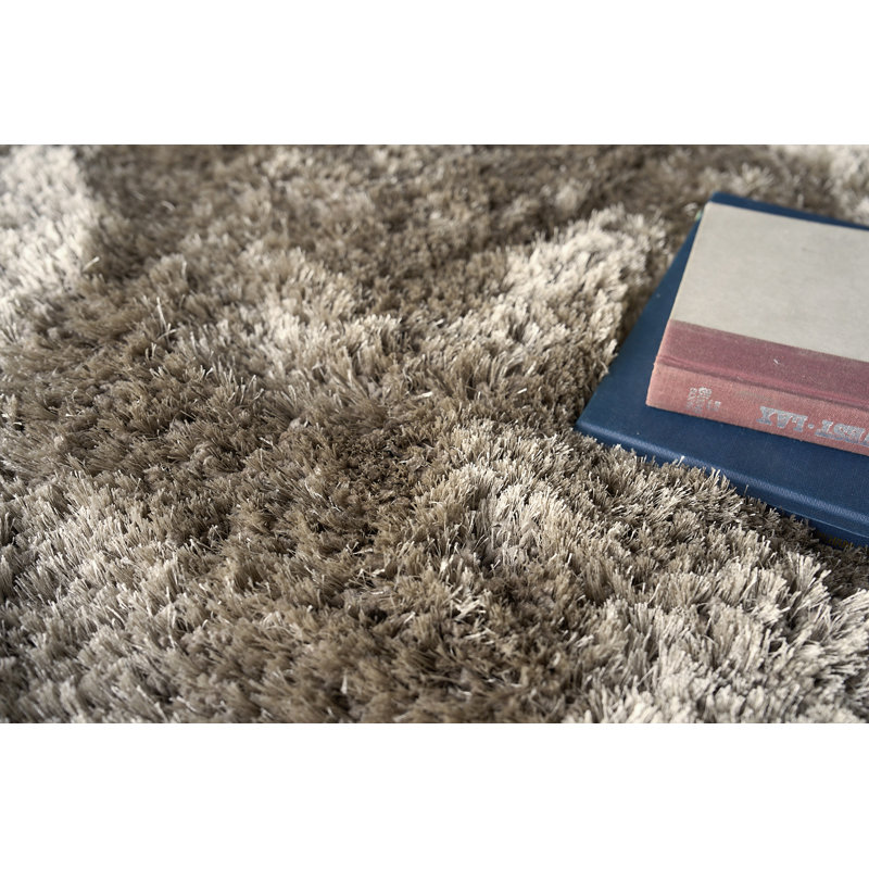 Exquisite Rugs Sumo Shag Handmade Hand Loomed Polyester/Microfiber on Cotton Taupe Area Rug, Rectangle 2' x 3'