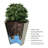 Emerson Self Watering Concrete Texture Pot Planter-41746567-31644923