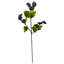 Grape Leaf Arrangement