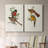 ElegantTrogonsI-Premium Gallery Wrapped Canvas -Ready to Hang-108946521