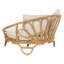 Algia 112cm Wide Curved Wicker Patio Daybed with Cushions-1644683619-1626023981
