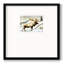Ingvalson " Snow Elk "-88450849