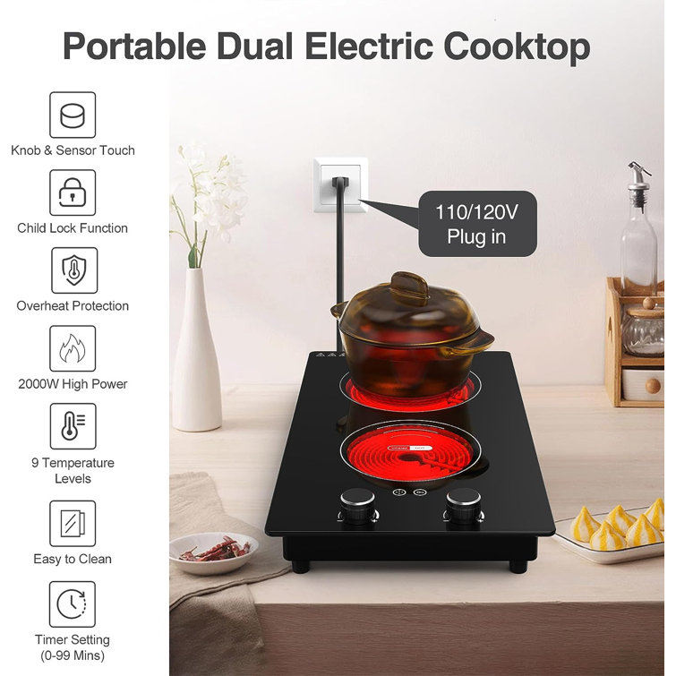 24in Electric Induction Cooktop 2 Burner 110V Stove Top Touch Control Child  Lock