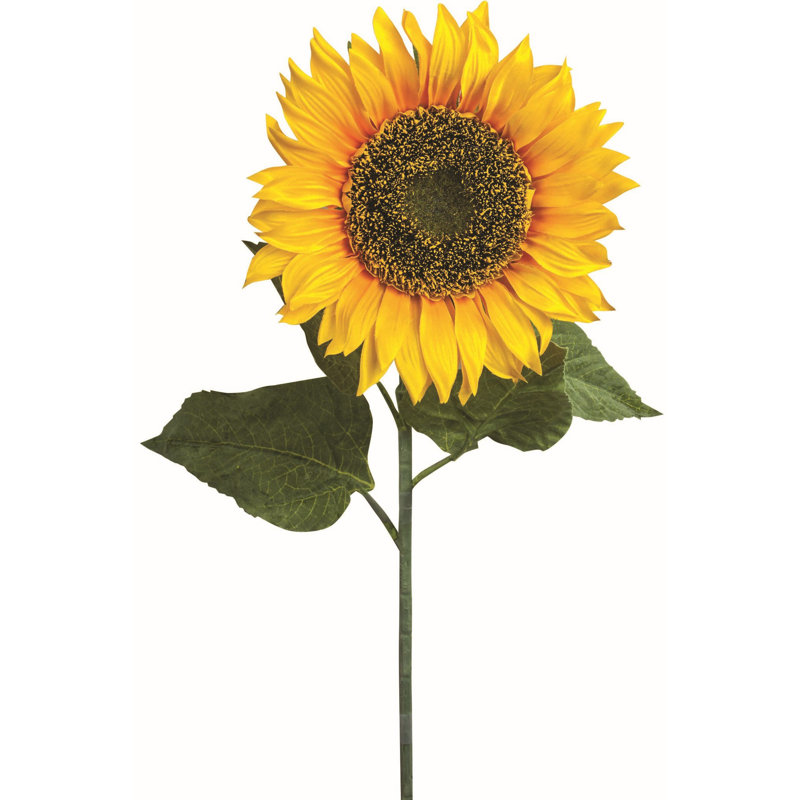 Sunflower Arrangement