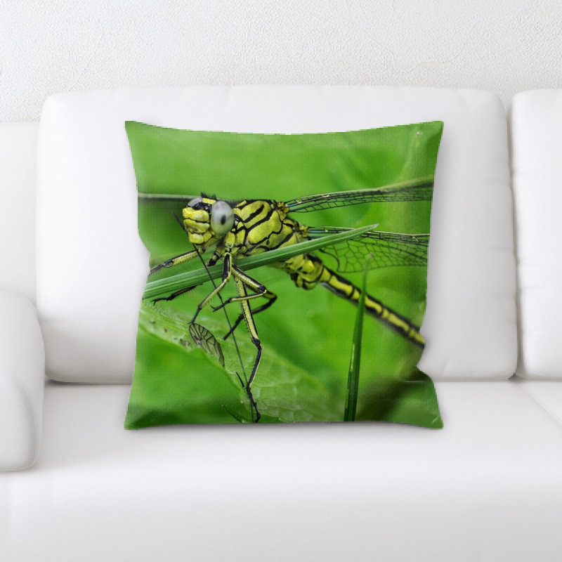 Coussin libellule