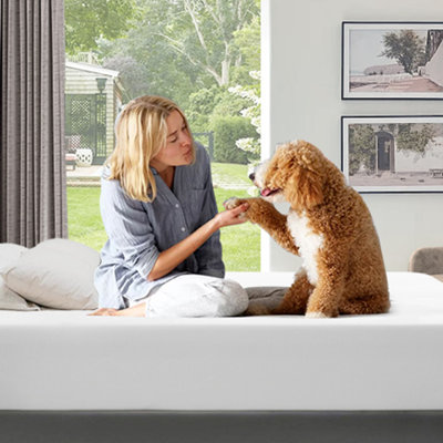 Matelas hybride Cheyney 8Hybrid - Mousse à mémoire de forme infusée de gel de refroidissement et ressorts ensachés hybride, soulagement de la pression, isolement de mouvement, sans fibre de verre, certifié CertiPUR-US®