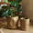 Modern Magnesium Planter-847124317