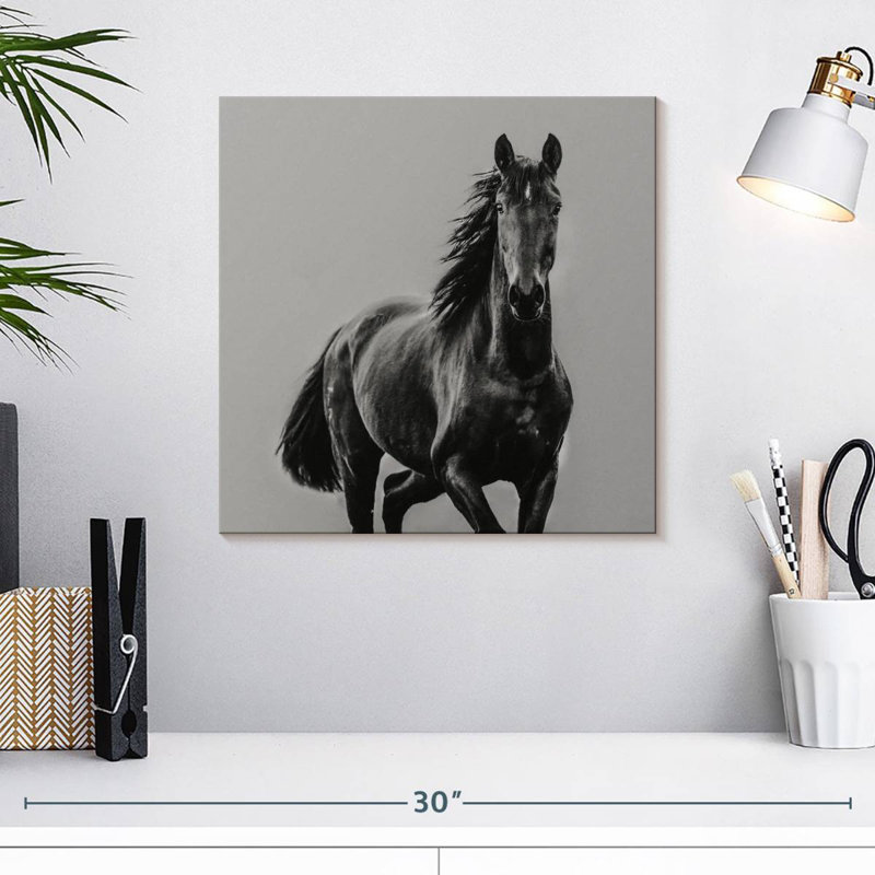 Cheval noir Brampt