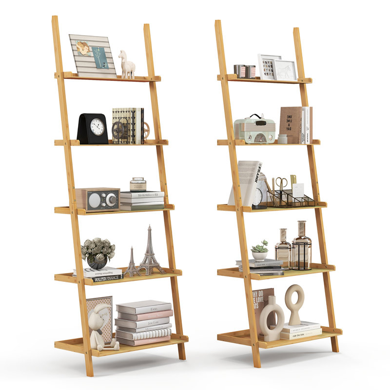 Ladder Bookcase
