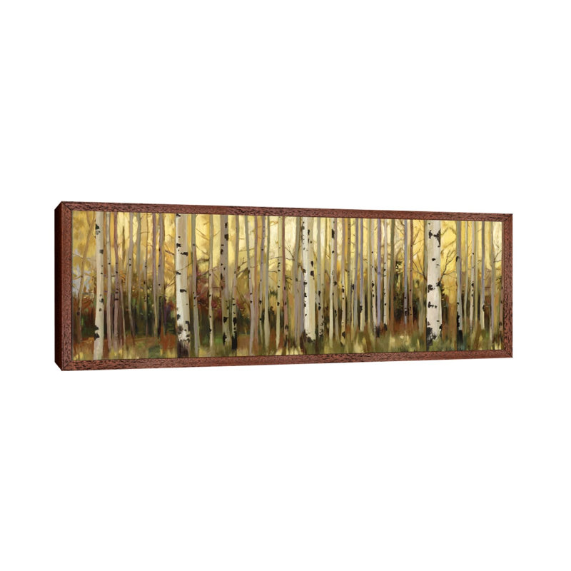 Forest Light by Allison Pearce - Panoramic Print on Canvas, Classic Brown Wood Framed Canvas, 152.4 cm H x 50.8 cm W