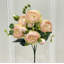 Peony Stem